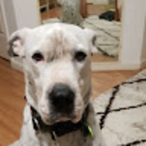 Meet your Posher, Fiona